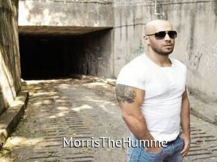 MorrisTheHumme Zizi X