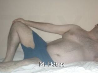 Mr_Hobbs