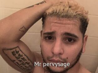 Mr_pervysage Zizi X