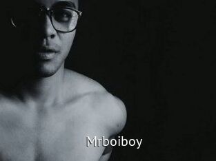 Mrboiboy