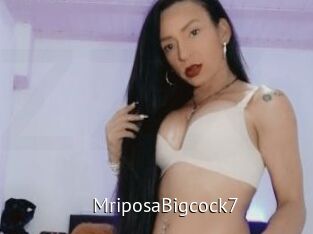 MriposaBigcock7 Zizi X