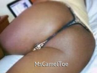 MsCamelToe