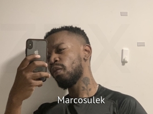 marcosulek Zizi X