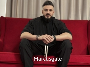 marcusgale Zizi X
