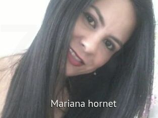 Mariana_hornet
