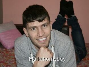 Mariohornyboy