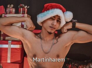 Martinharem