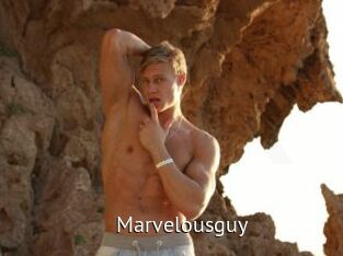 Marvelousguy