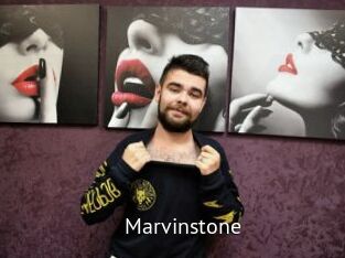 marvinstone Zizi X