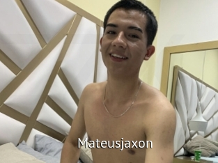 mateusjaxon Zizi X
