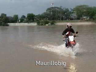 Maurillobig