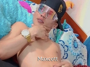 maxcott Zizi X