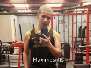 Maximosims