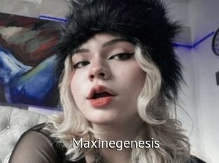 Maxinegenesis