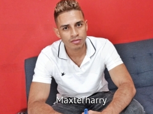 maxterharry Zizi X