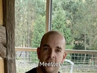 Meesterv
