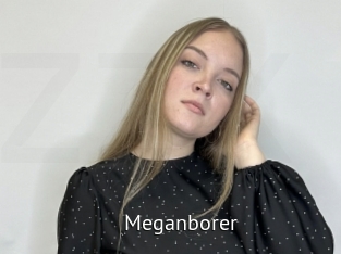 Meganborer