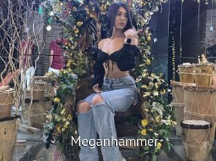 Meganhammer