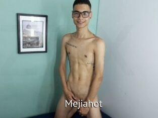 mejiahot Zizi X
