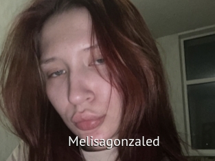 Melisagonzaled