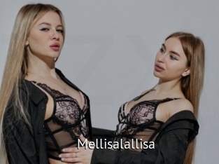 Mellisalallisa