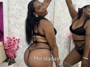 Meridadave