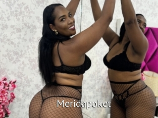 Meridapoket
