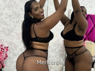 meridaraw Zizi X