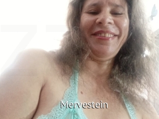 Mervestein