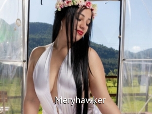 meryhawker Zizi X