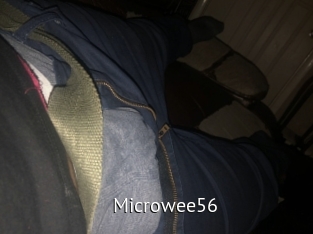 Microwee56
