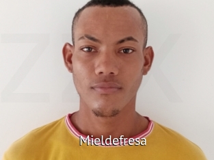 Mieldefresa