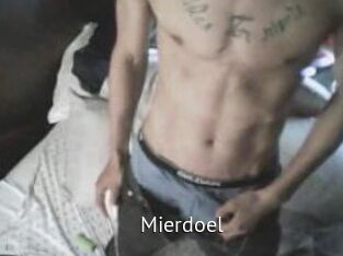 Mierdoel