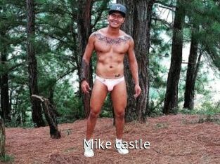 Mike_castle