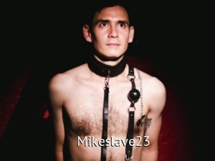 mikeslave23 Zizi X