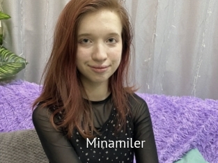 Minamiler