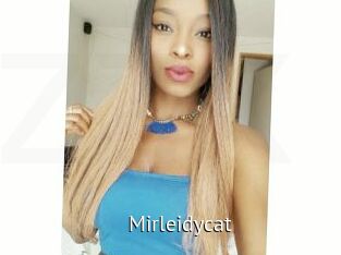 Mirleidycat