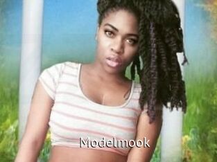 Modelmook