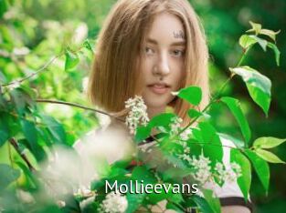 Mollieevans