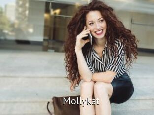 Mollykat