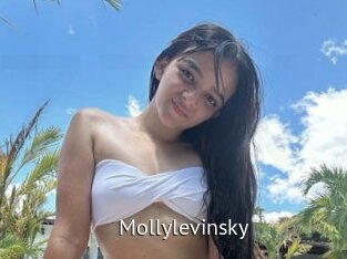 Mollylevinsky
