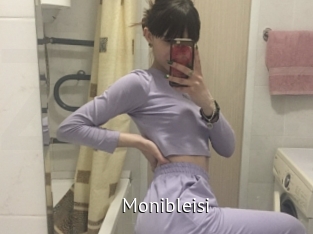 Monibleisi