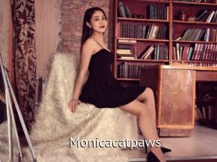 Monicacatpaws
