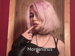morgansnus Zizi X