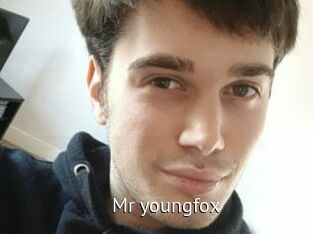 Mr_youngfox