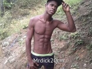 Mrdick20cm