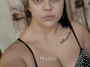 Muisor