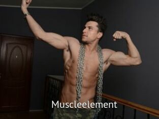 Muscleelement