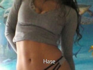Hase