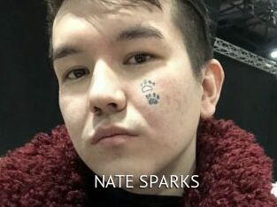 NATE_SPARKS